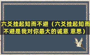 六爻挂起知而不避（六爻挂起知而不避是我对你最大的诚意 意思）